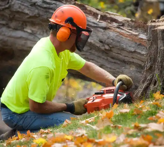 tree services Alton